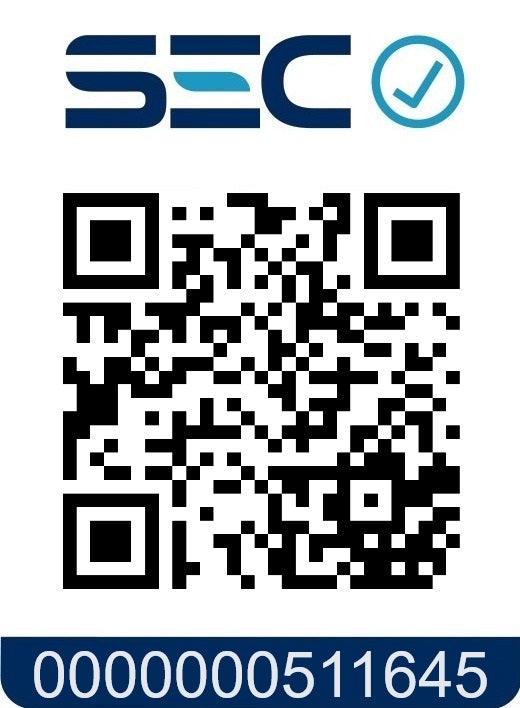 Promo Lizze Plancha + Secador Extreme