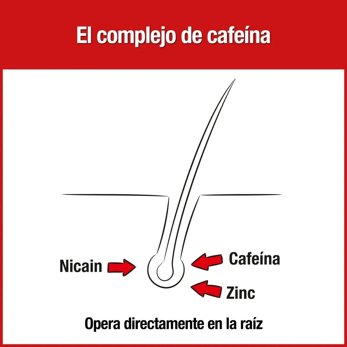 Tónico Alpecin Anti Caída Cafeína Liquida 200ml