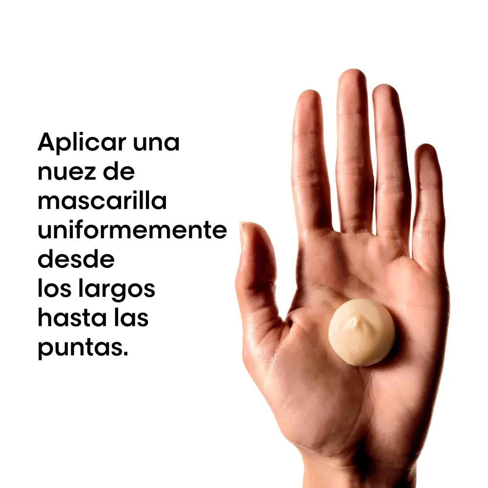 Máscara Loreal Absolut Repair 250ml