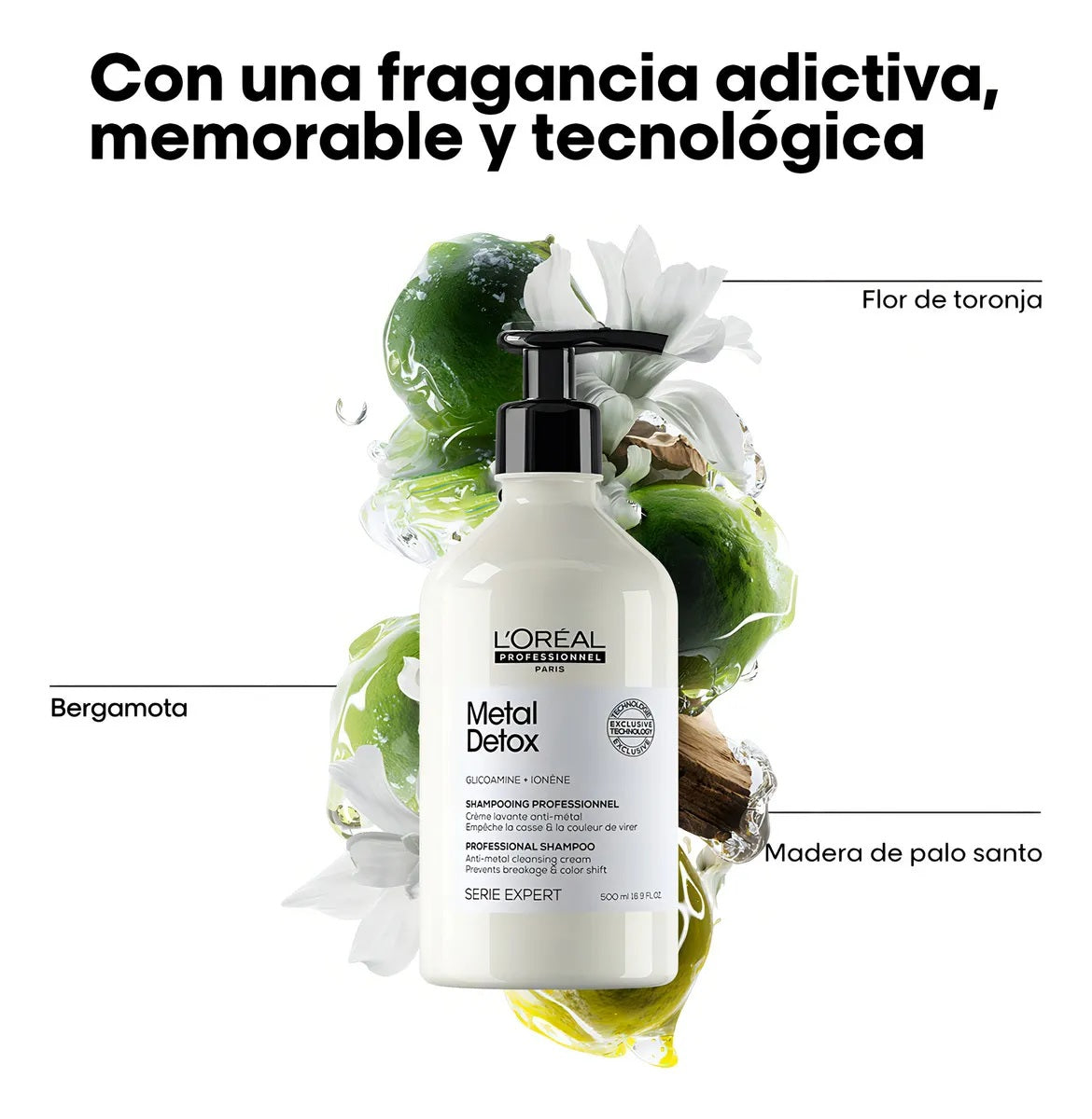 Shampoo Loreal Metal Detox 500ml