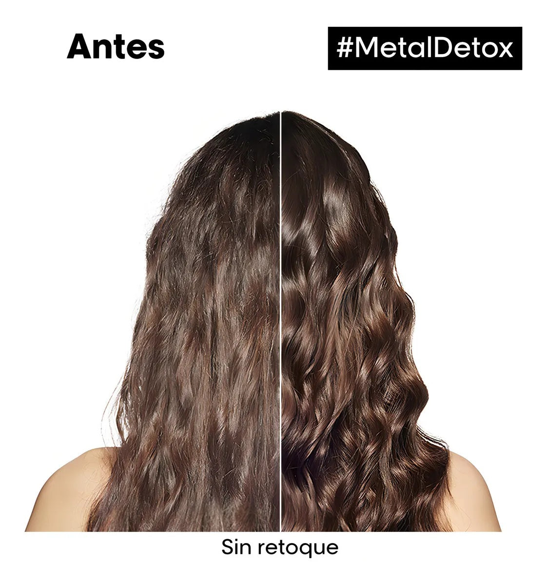 Shampoo Loreal Metal Detox 500ml