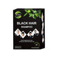 Shampoo Black Hair Semipermanente 25mlx10